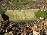 image of grave number 732789